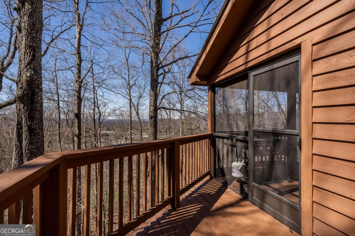 257 AJs Holler Blairsville - Photo 50