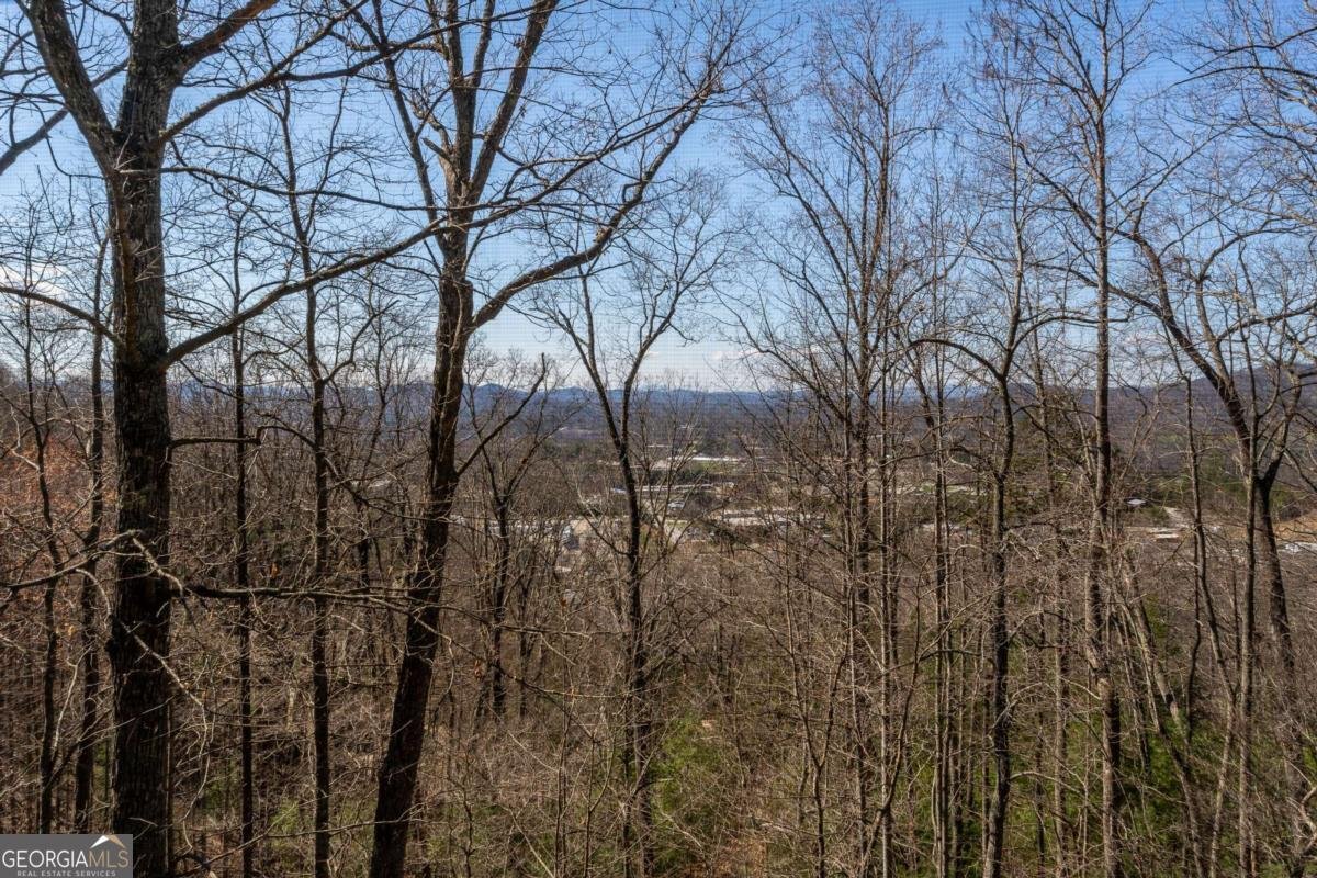 257 AJs Holler Blairsville - Photo 51