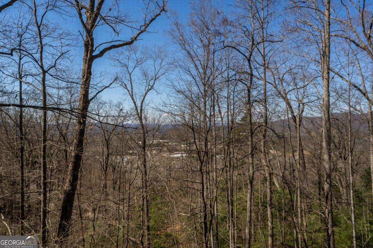 257 AJs Holler Blairsville - Photo 52