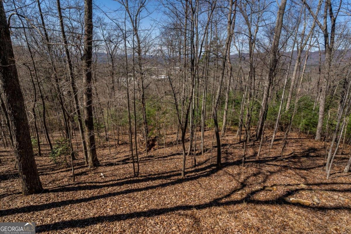 257 AJs Holler Blairsville - Photo 53