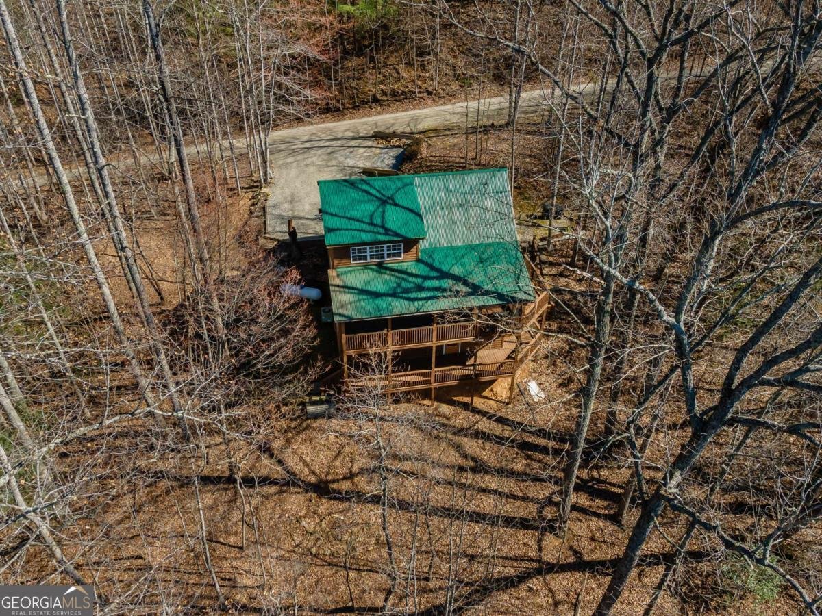 257 AJs Holler Blairsville - Photo 60