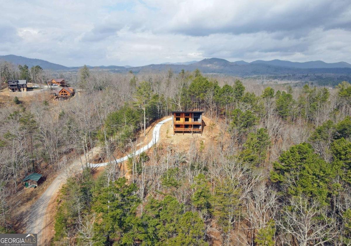 391 Crabapple Lane Mineral Bluff - Photo 10