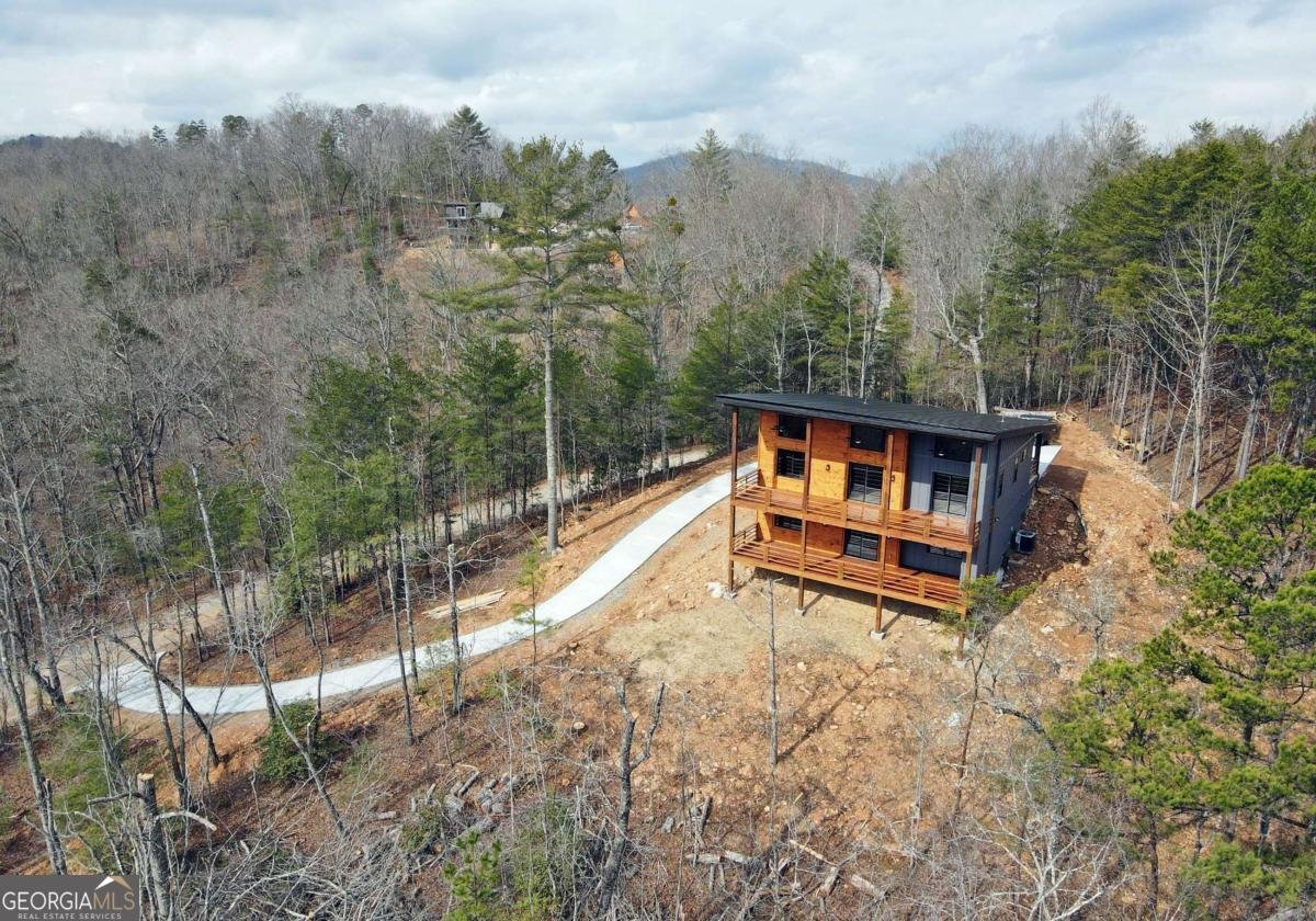 391 Crabapple Lane Mineral Bluff - Photo 11