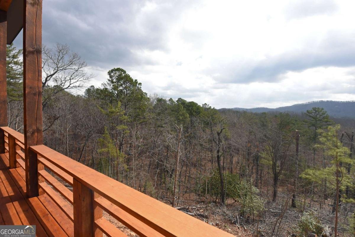 391 Crabapple Lane Mineral Bluff - Photo 18