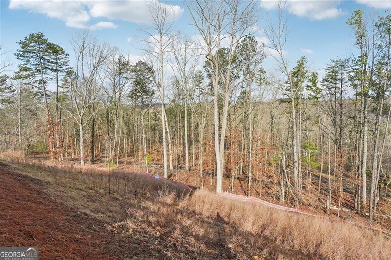 7650 Homer Drive Cumming - Photo 59