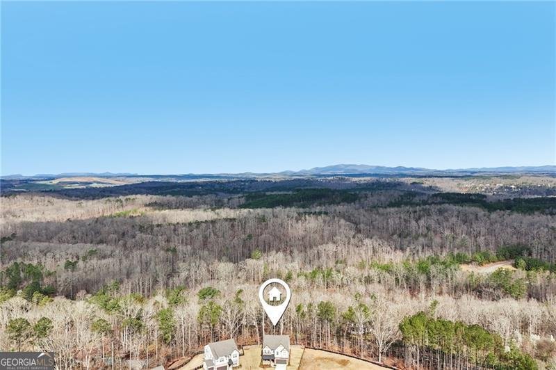 7650 Homer Drive Cumming - Photo 61