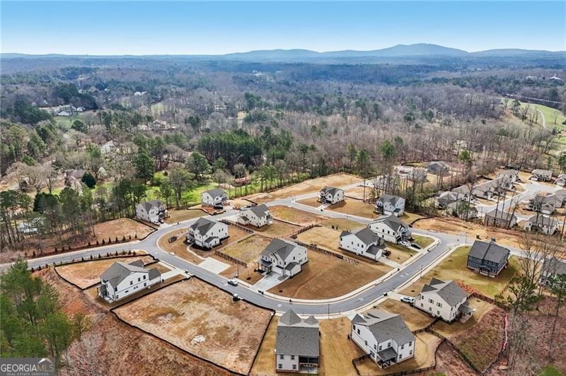 7650 Homer Drive Cumming - Photo 63