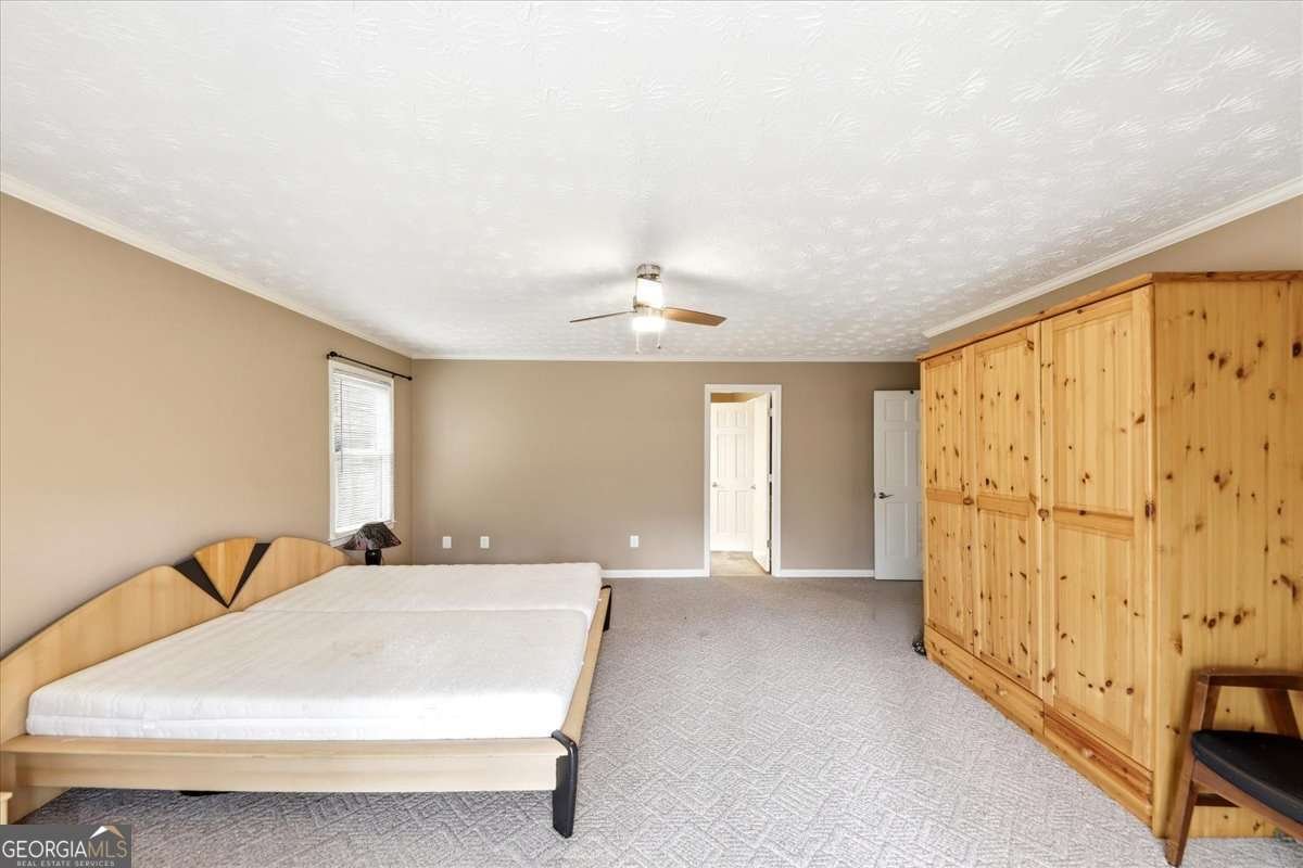 675 Sandy Ridge Road Mcdonough - Photo 33