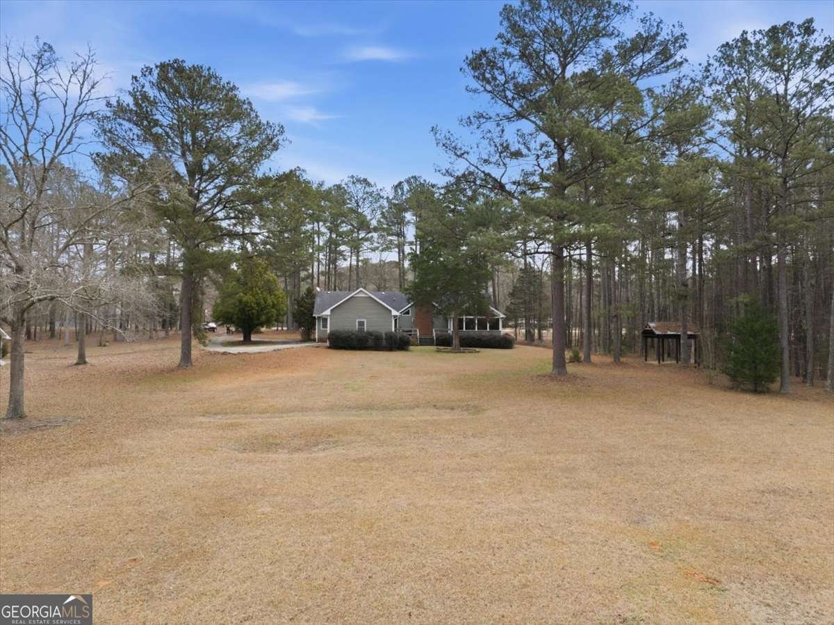 675 Sandy Ridge Road Mcdonough - Photo 54