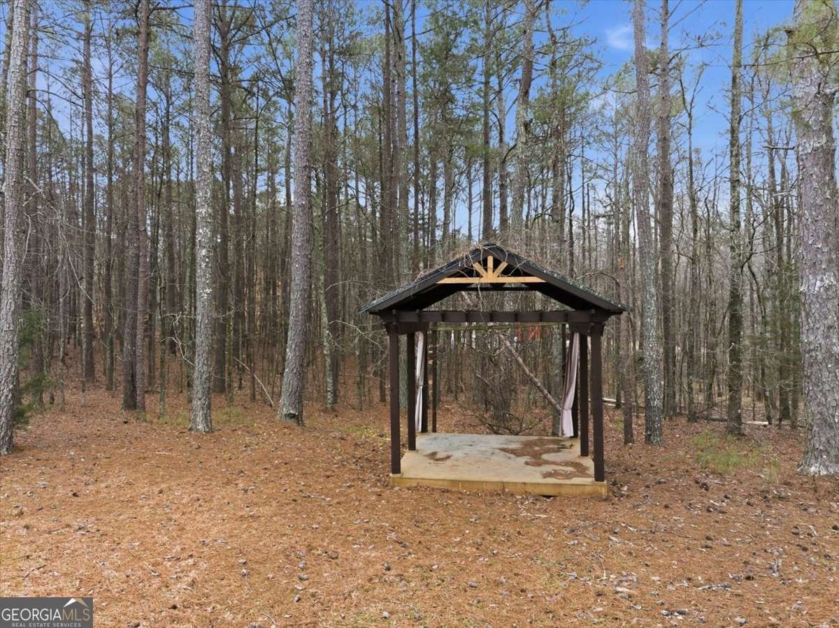 675 Sandy Ridge Road Mcdonough - Photo 58