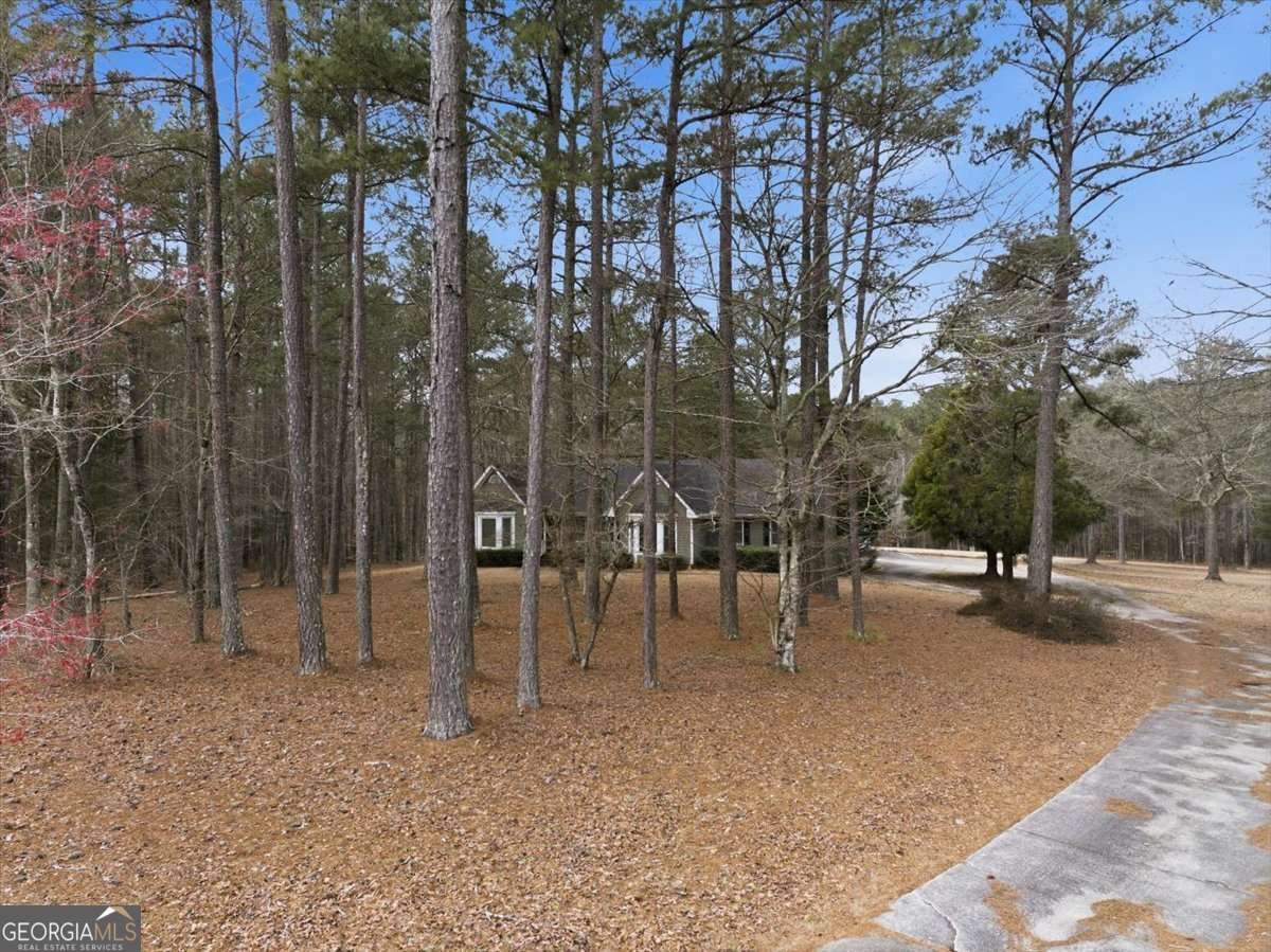 675 Sandy Ridge Road Mcdonough - Photo 59