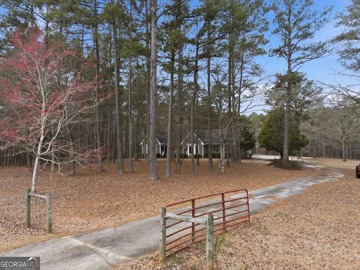 675 Sandy Ridge Road Mcdonough - Photo 60