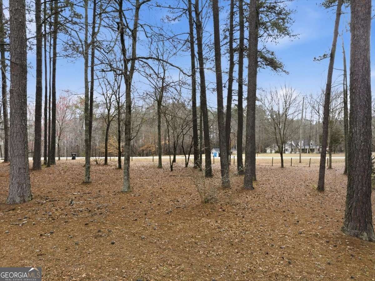 675 Sandy Ridge Road Mcdonough - Photo 61