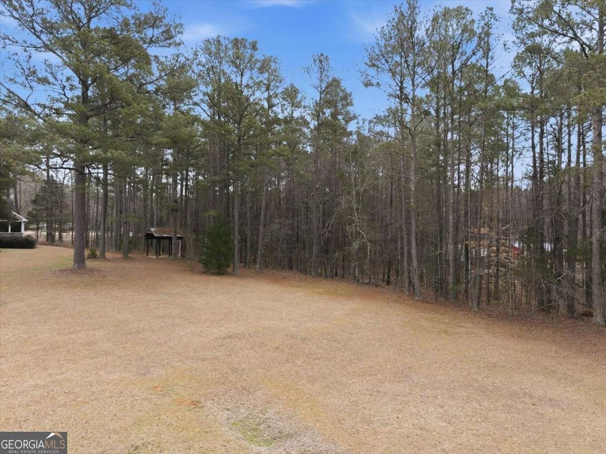 675 Sandy Ridge Road Mcdonough - Photo 62