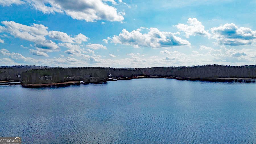 251 Bertha Allen Road Westminster - Photo 10