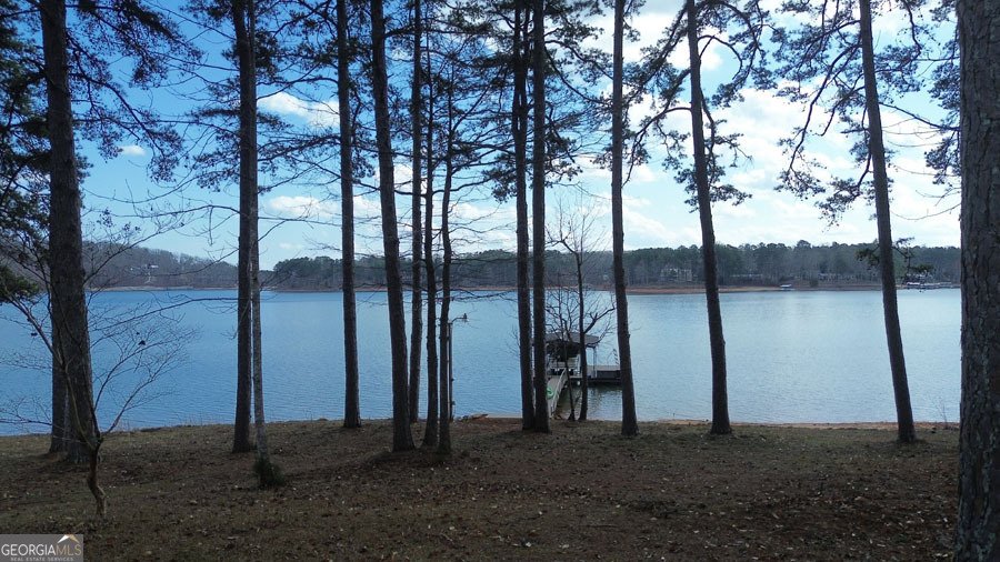 251 Bertha Allen Road Westminster - Photo 27