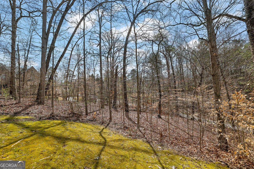 641 Summertree Court Mableton - Photo 70