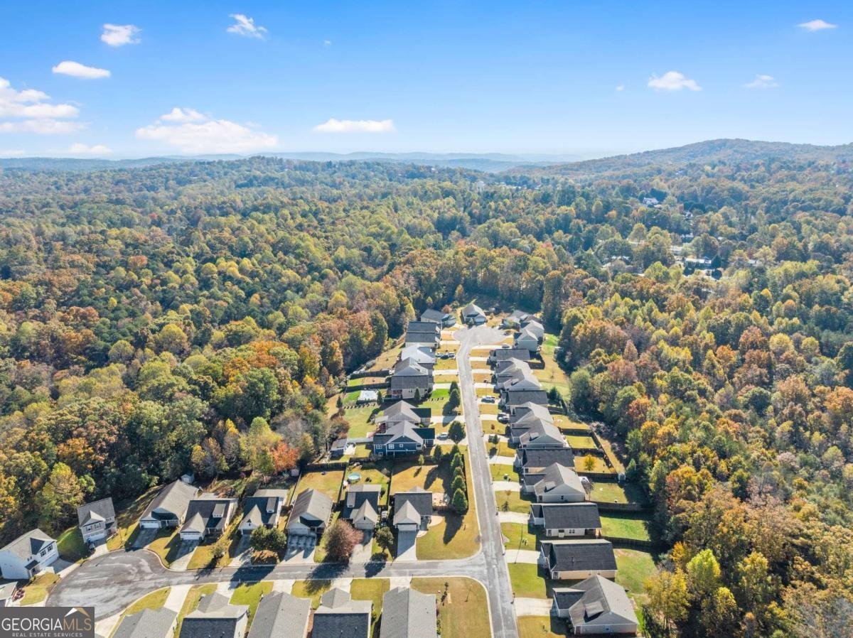 204 Sugar Maple Drive Cornelia - Photo 37