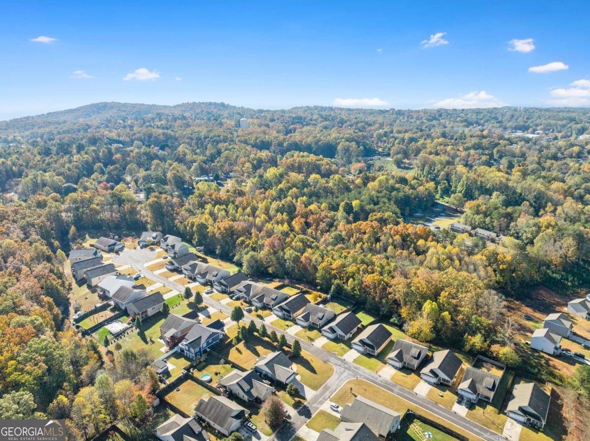 204 Sugar Maple Drive Cornelia - Photo 39