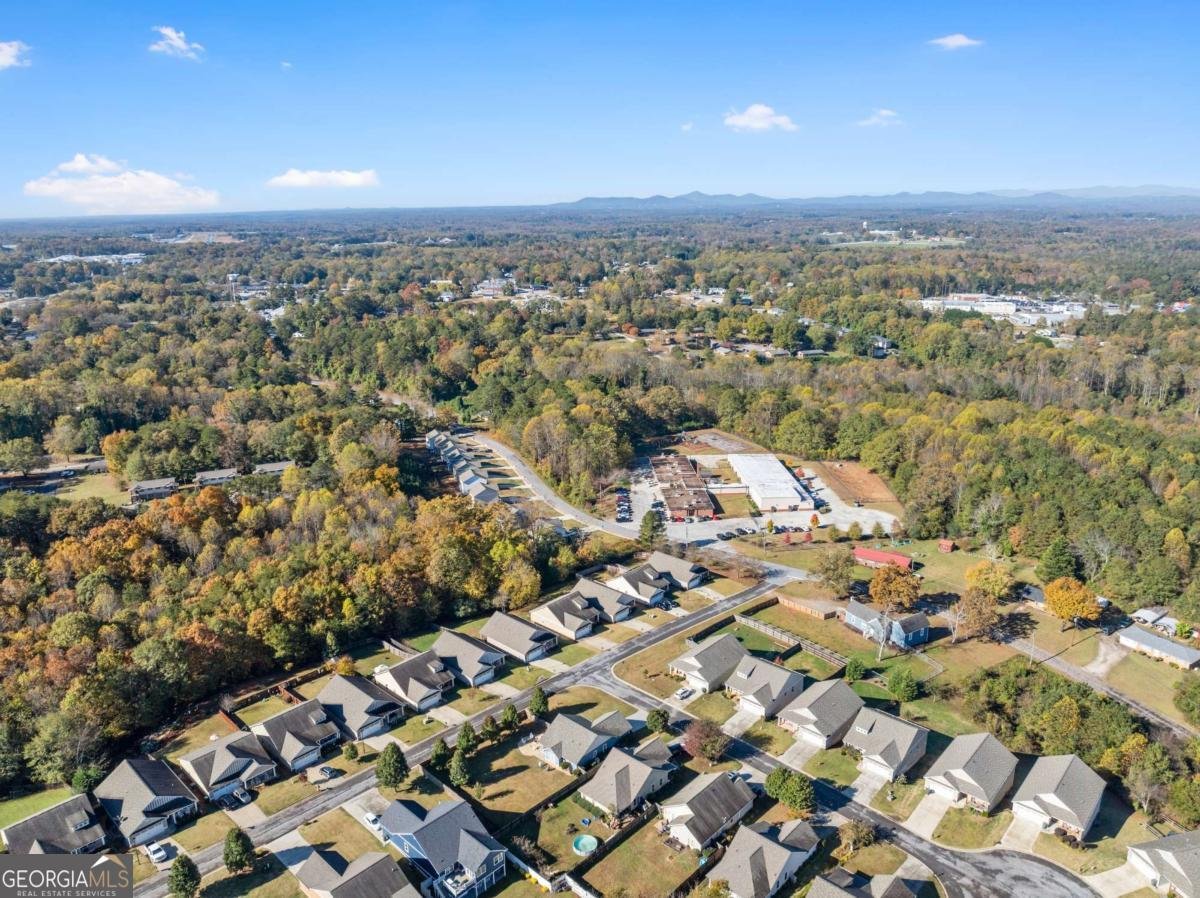 204 Sugar Maple Drive Cornelia - Photo 40