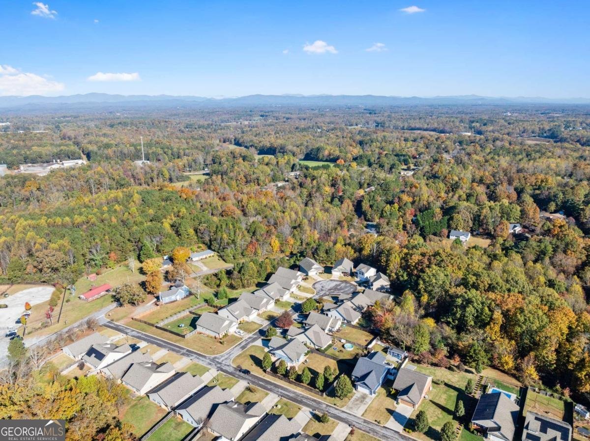 204 Sugar Maple Drive Cornelia - Photo 41