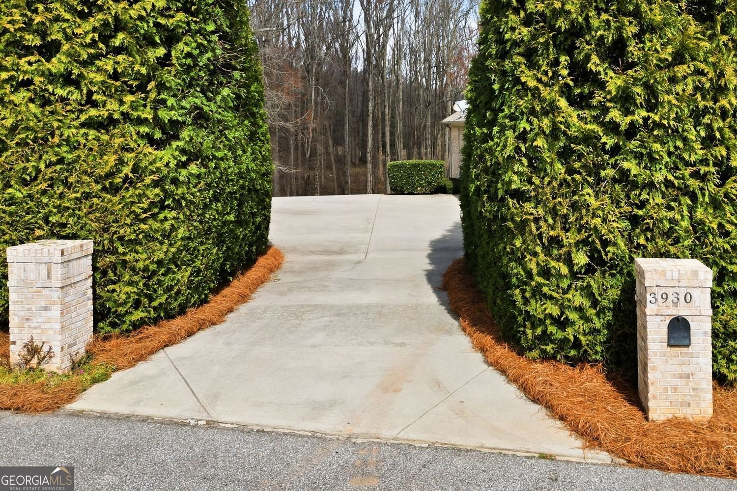 3930 Fouts Drive Cumming - Photo 66