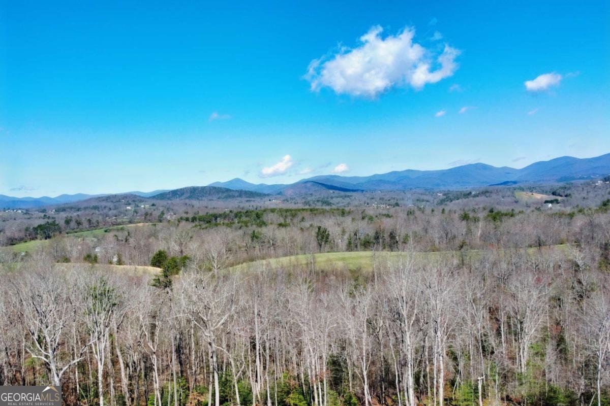 175 Hooper Road Cleveland - Photo 6