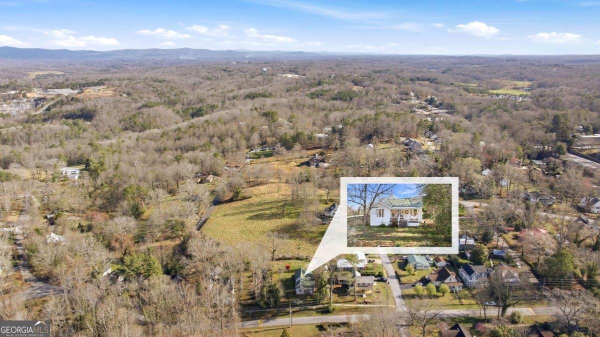 314 Holley Street Demorest - Photo 48