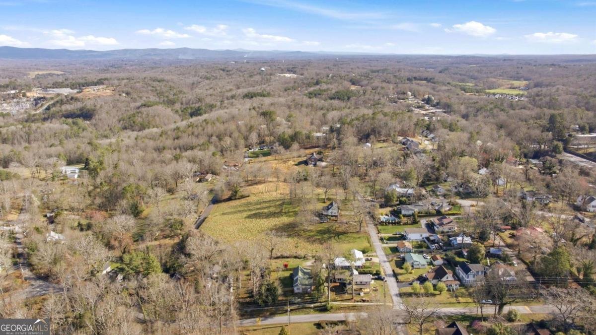 314 Holley Street Demorest - Photo 49