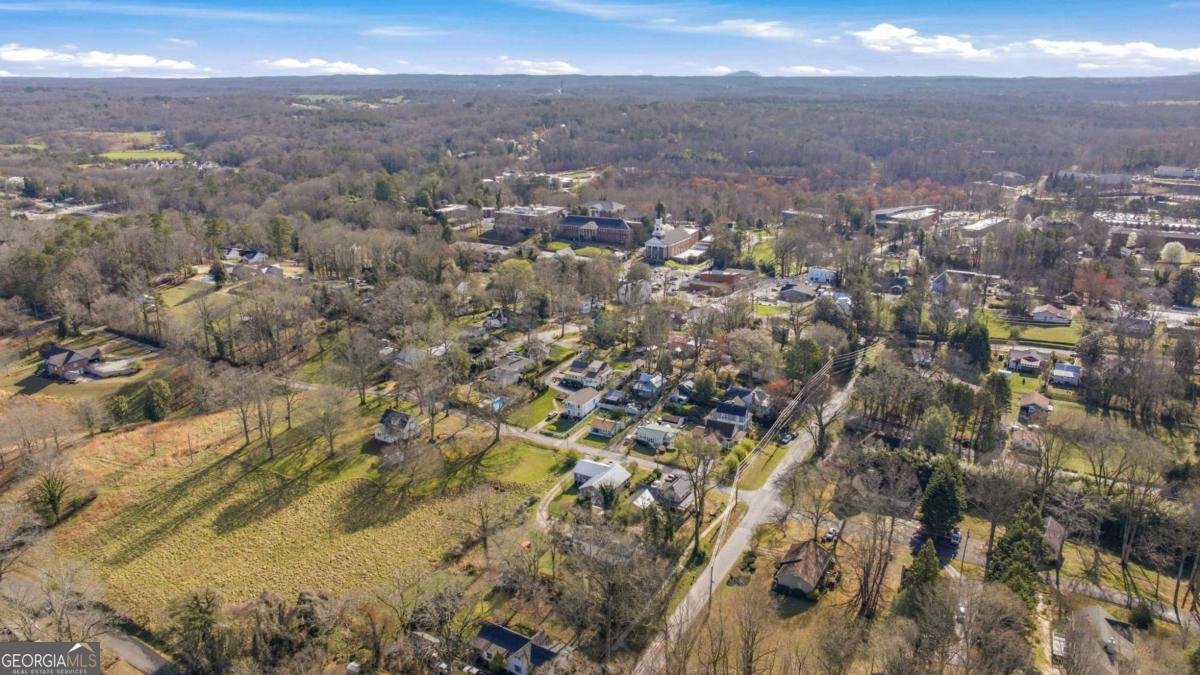 314 Holley Street Demorest - Photo 50