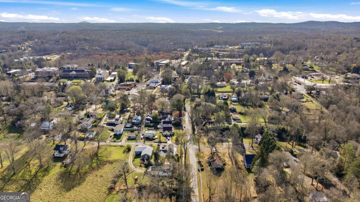 314 Holley Street Demorest - Photo 52