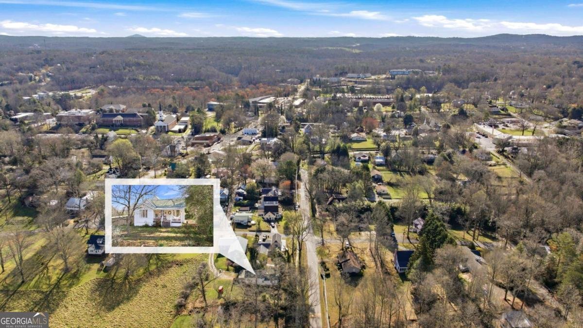 314 Holley Street Demorest - Photo 53