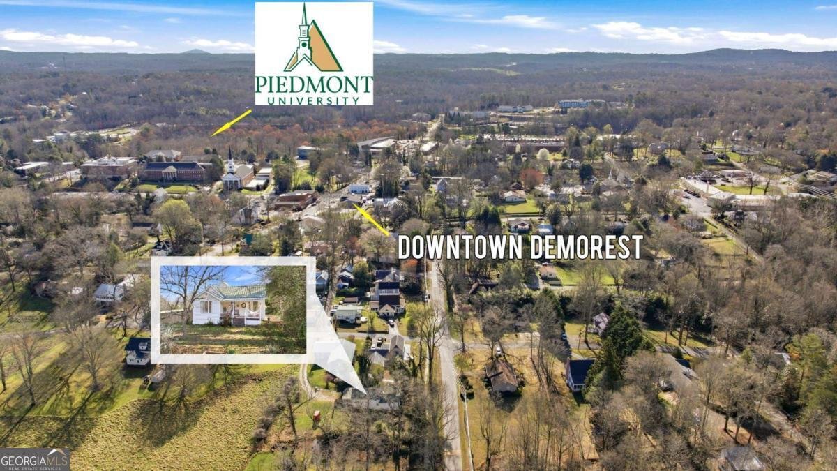 314 Holley Street Demorest - Photo 54