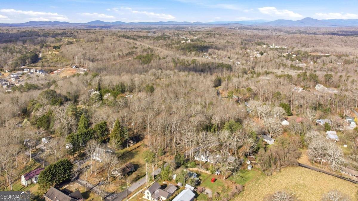 314 Holley Street Demorest - Photo 59