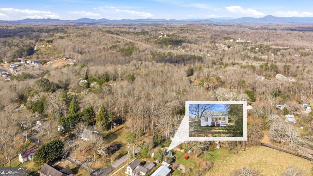 314 Holley Street Demorest - Photo 60