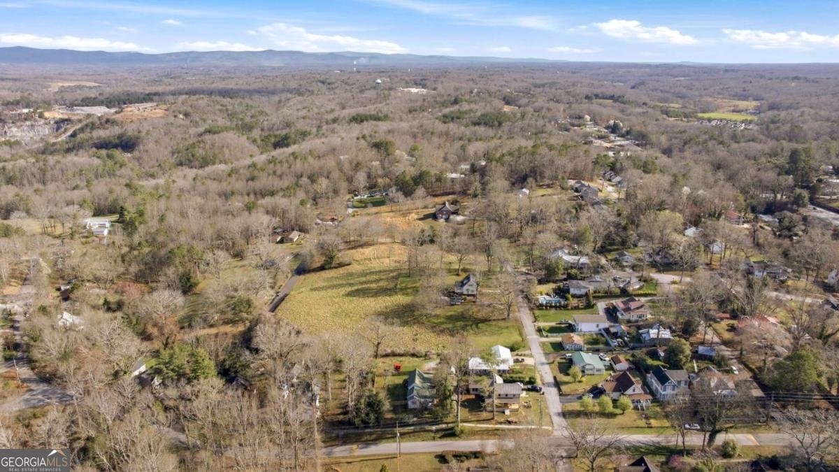 314 Holley Street Demorest - Photo 61