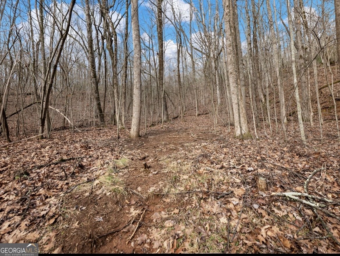 206 Oakridge Drive Cleveland - Photo 15