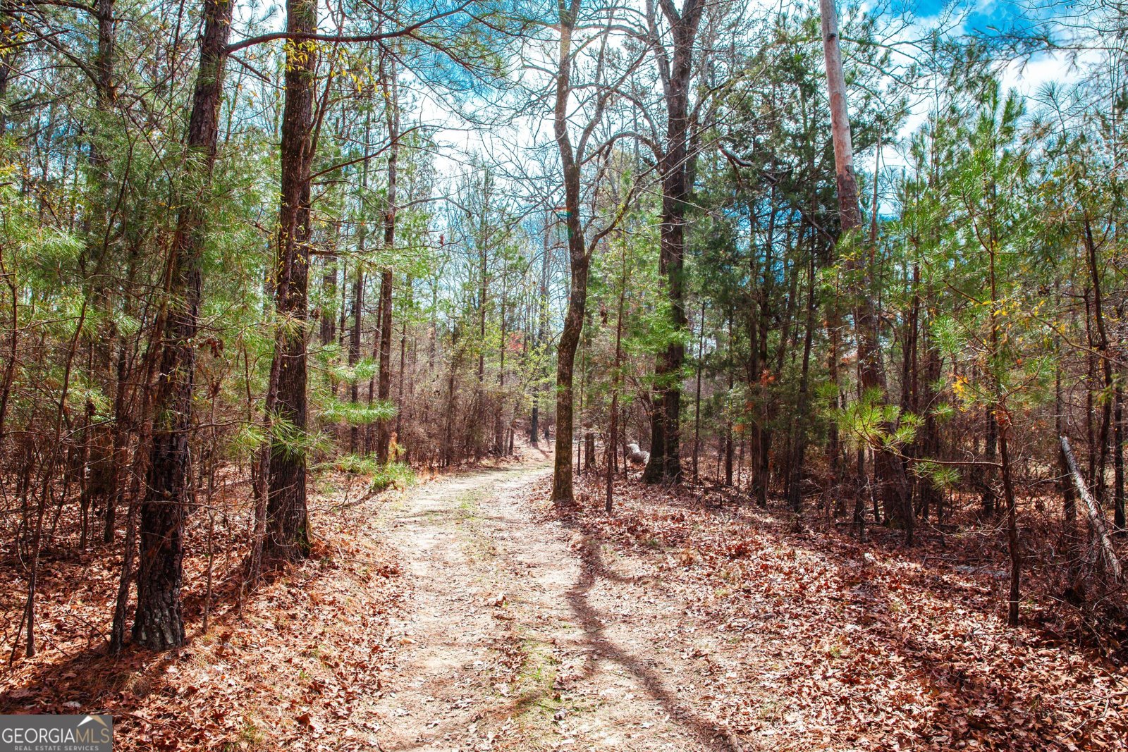 1215 Guillebeau Road Lincolnton - Photo 25