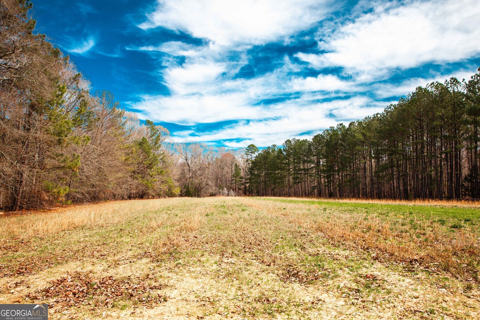 1215 Guillebeau Road Lincolnton - Photo 26