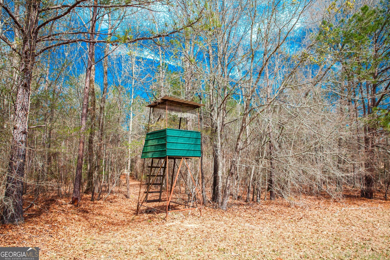 1215 Guillebeau Road Lincolnton - Photo 27