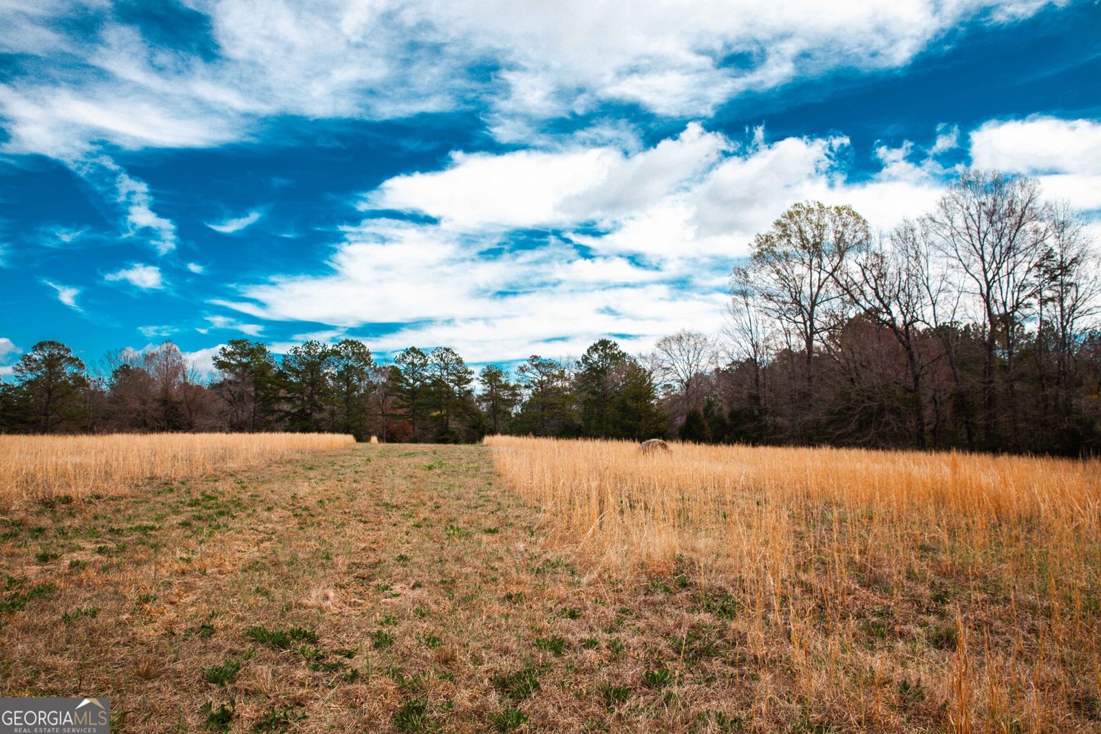 1215 Guillebeau Road Lincolnton - Photo 32