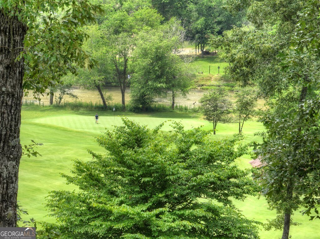 658 Old Toccoa Loop Mineral Bluff - Photo 61