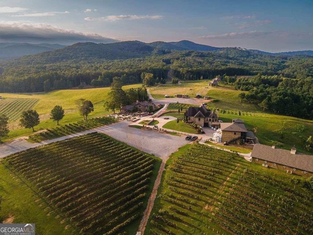 84 Bravo Rivera Way Ellijay - Photo 89