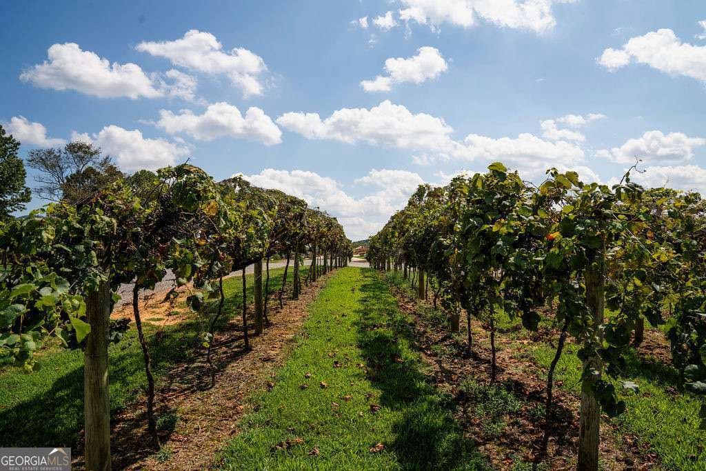 84 Bravo Rivera Way Ellijay - Photo 94