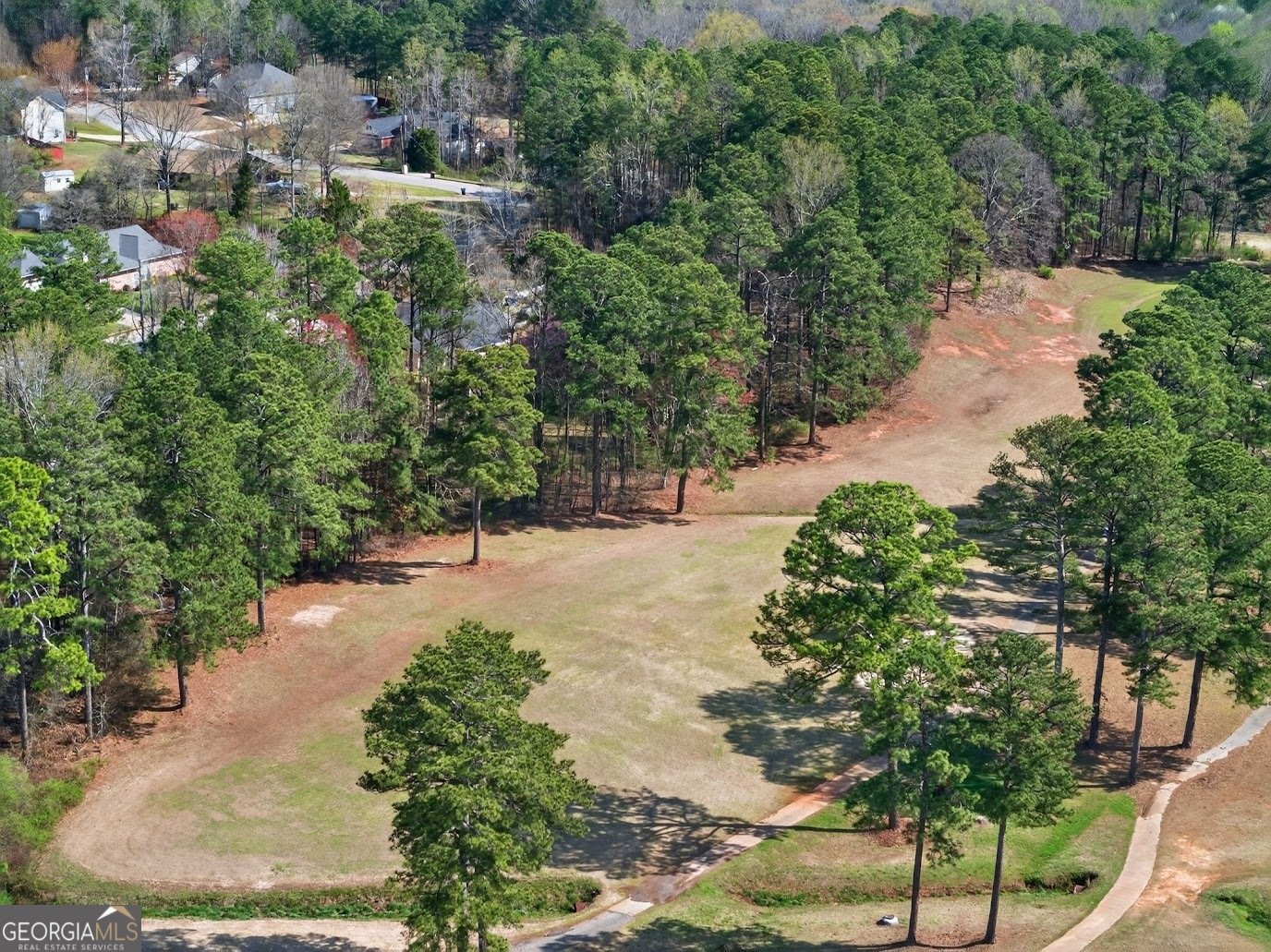 8993 Dornoch Circle Winston - Photo 53