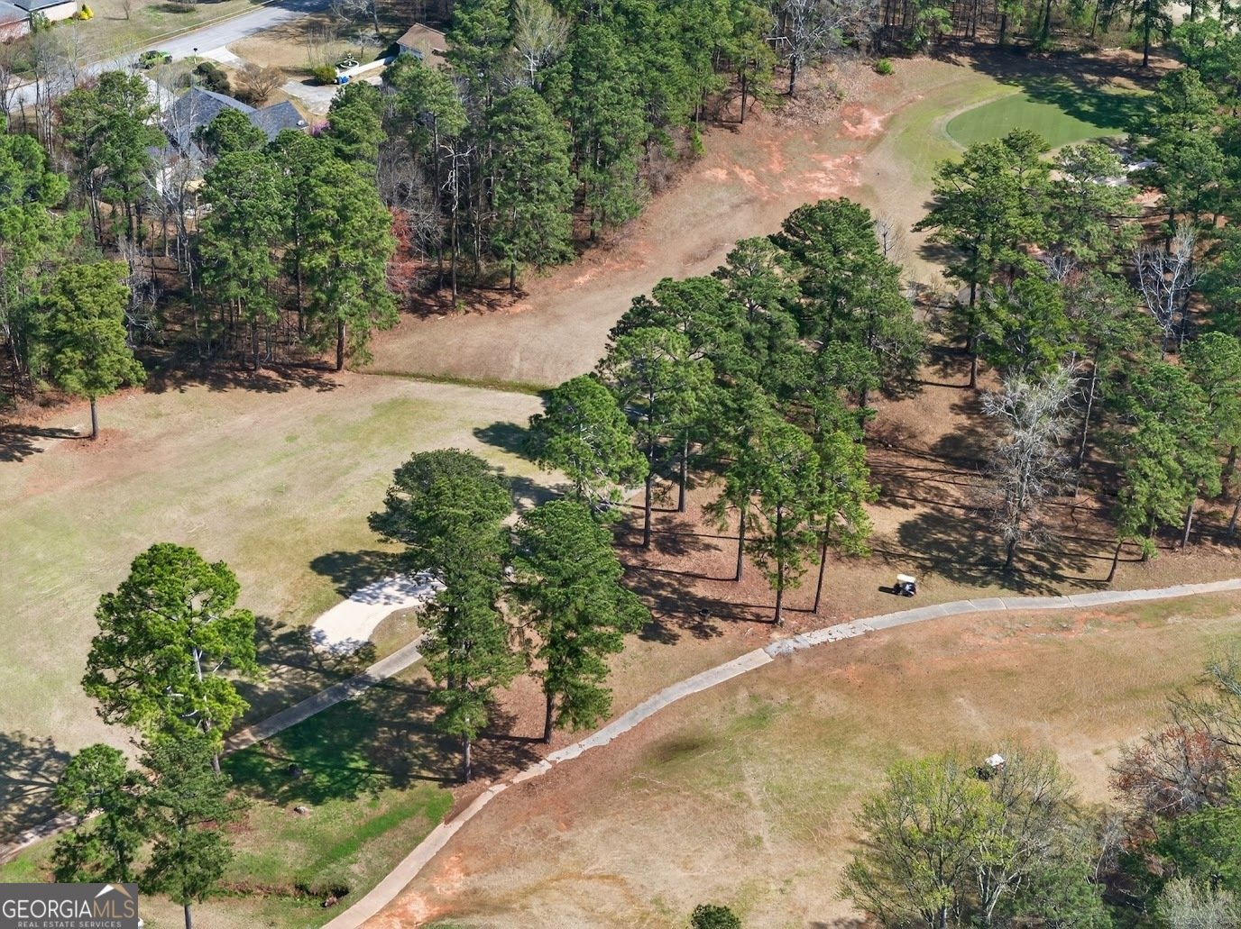 8993 Dornoch Circle Winston - Photo 55