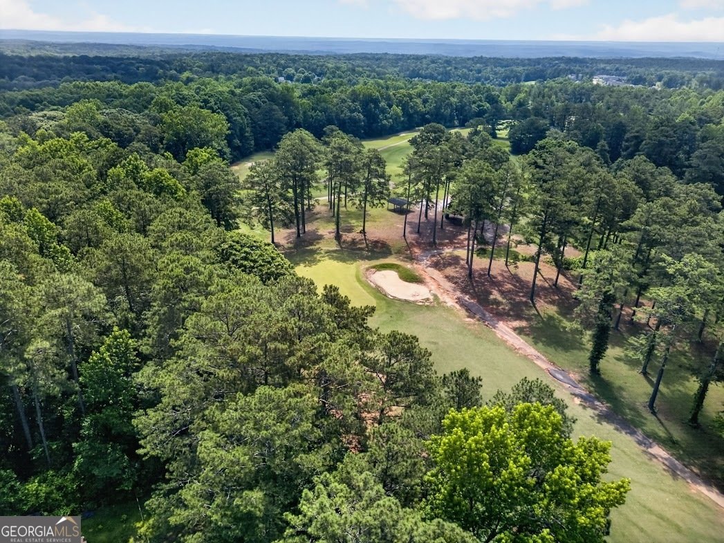 8993 Dornoch Circle Winston - Photo 64