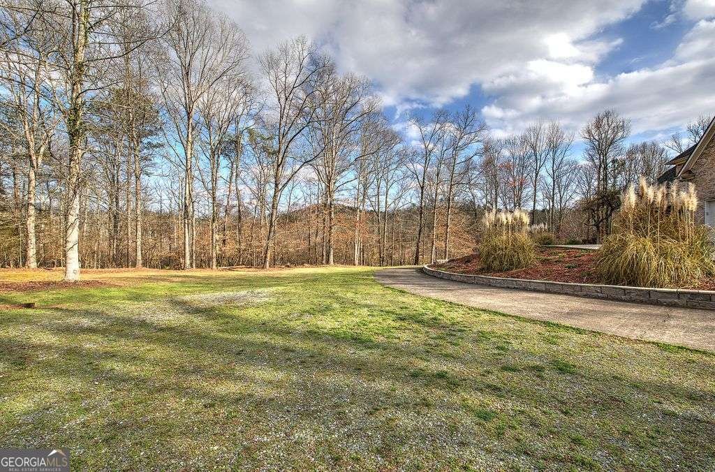 76 Shotgun Road Cartersville - Photo 51