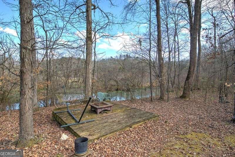 76 Shotgun Road Cartersville - Photo 52