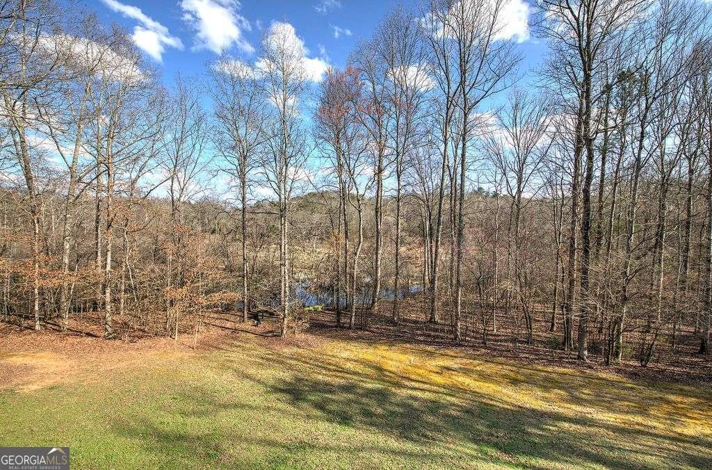 76 Shotgun Road Cartersville - Photo 55